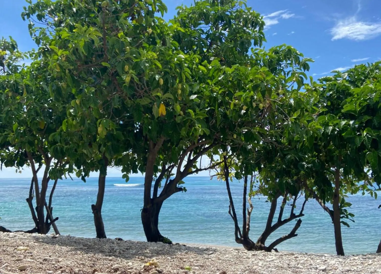 **** Bed & Breakfast Hotel Al Mare Barahona Repubblica Dominicana